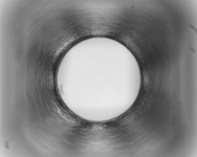 X0000101460684200808041042