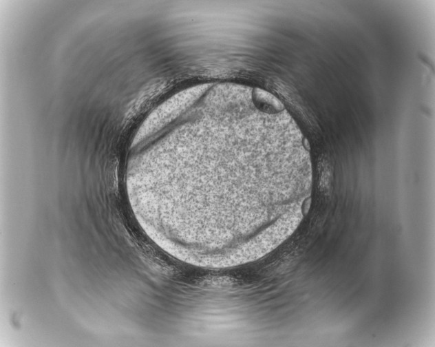 X0000101460685200808041042