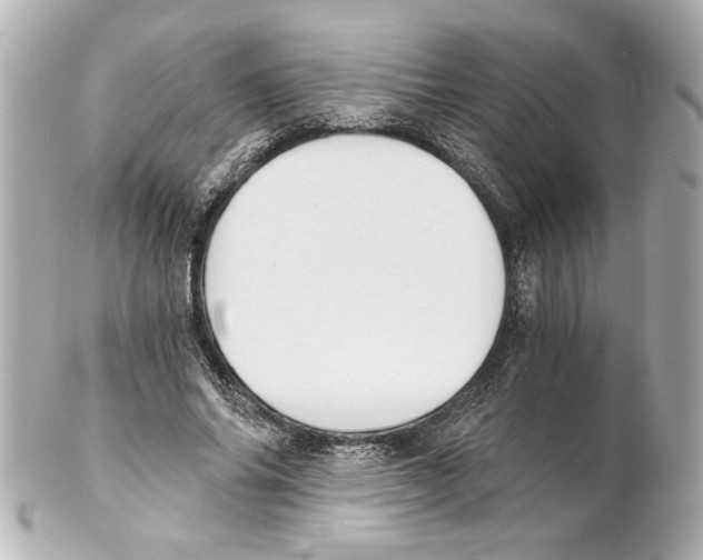 X0000101460686200808041042