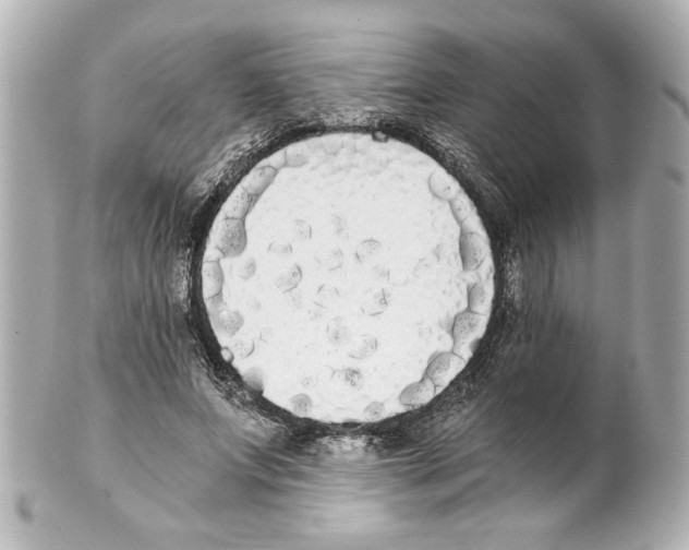 X0000101460687200808041042