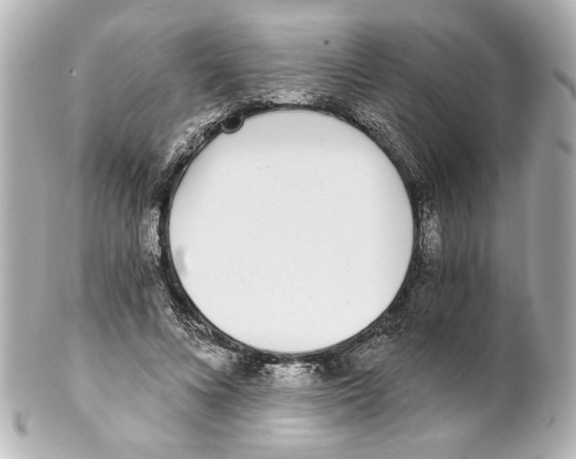 X0000101460688200808041042