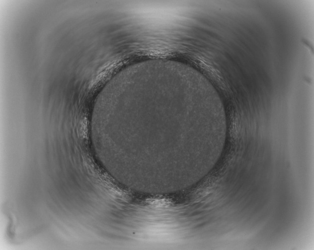 X0000101460689200808041042