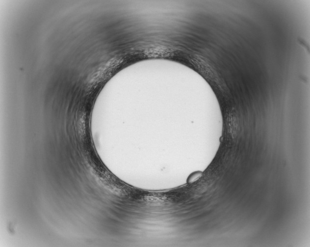 X0000101460690200808041042