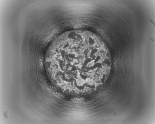 X0000101460691200808041042
