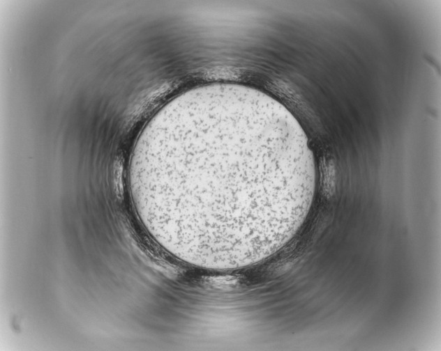 X0000101460692200808041042