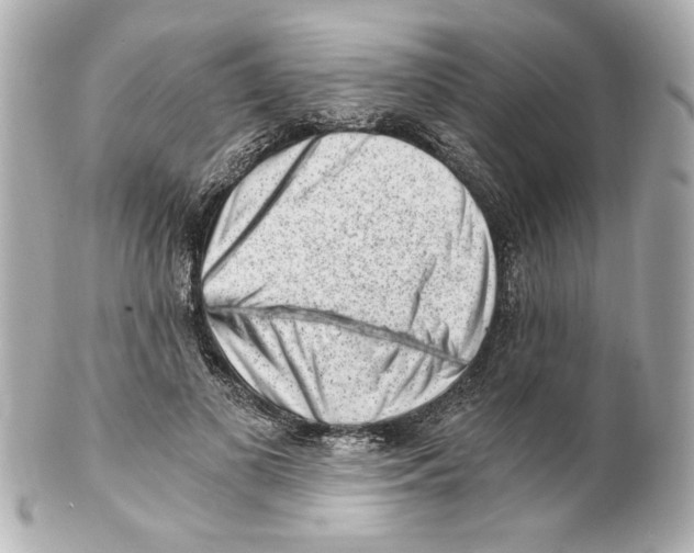 X0000101460693200808041042