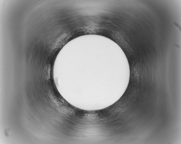 X0000101460694200808041042