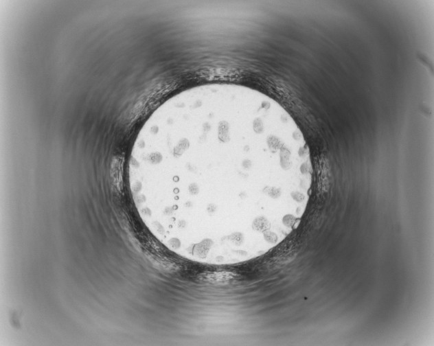 X0000101460695200808041042
