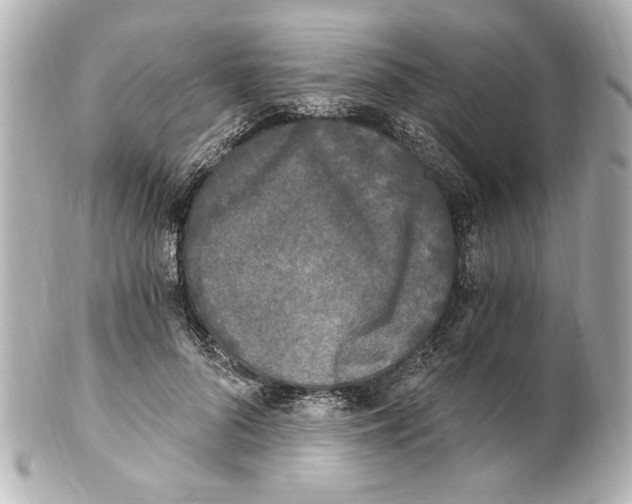 X0000101460696200808041042