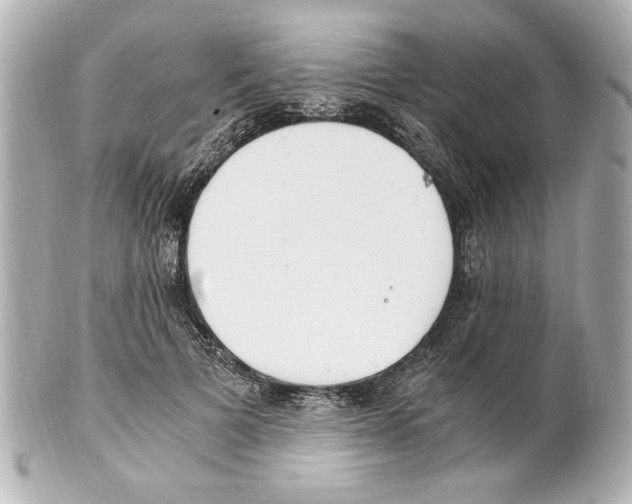 X0000101460697200808041042
