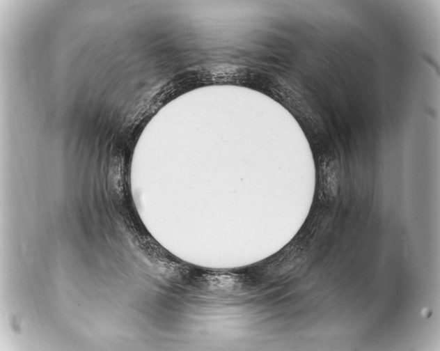X0000101460698200808041042