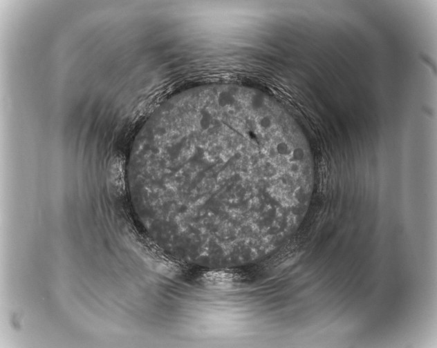 X0000101460699200808041042