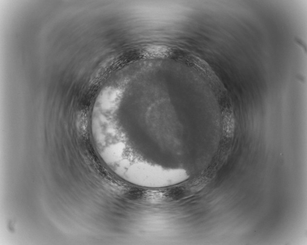 X0000101460701200808041042