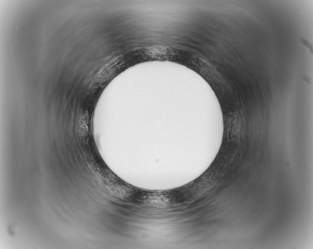 X0000101460702200808041042