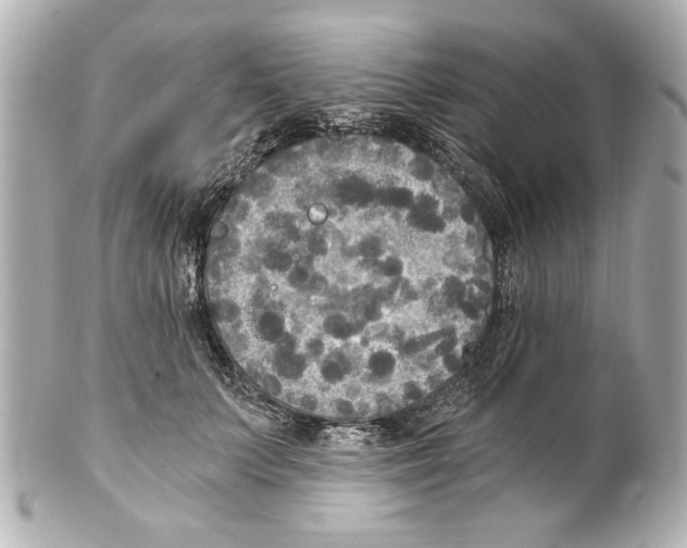 X0000101460703200808041042