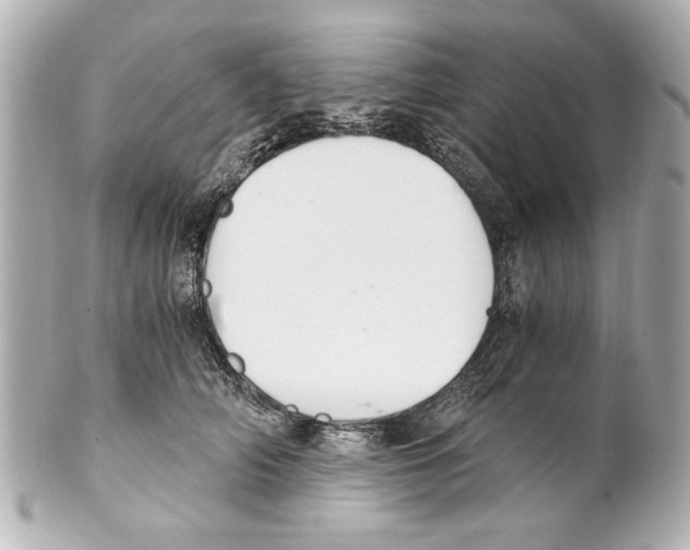 X0000101460706200808041042