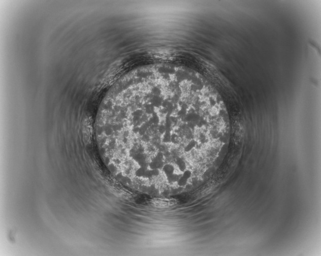 X0000101460707200808041042