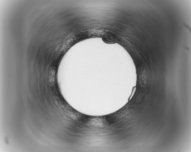 X0000101460708200808041042