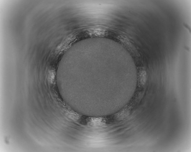 X0000101460709200808041042
