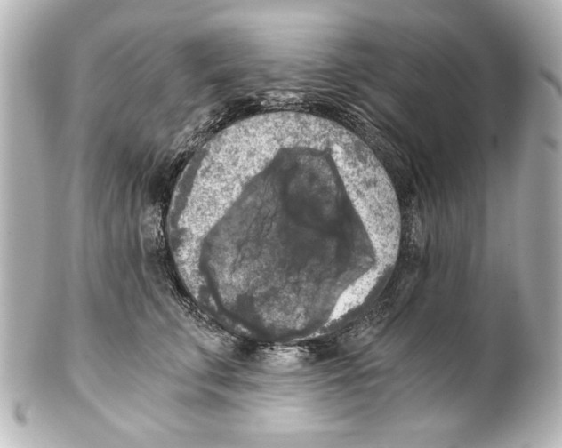 X0000101460711200808041042