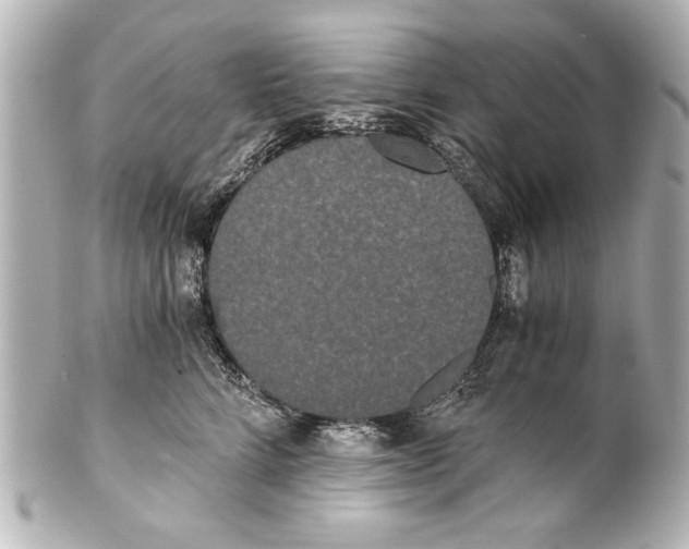 X0000101460712200808041042