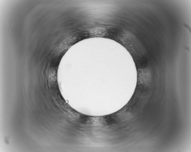 X0000101460713200808041042