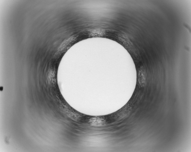 X0000101460714200808041042