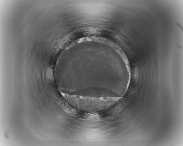X0000101460715200808041042