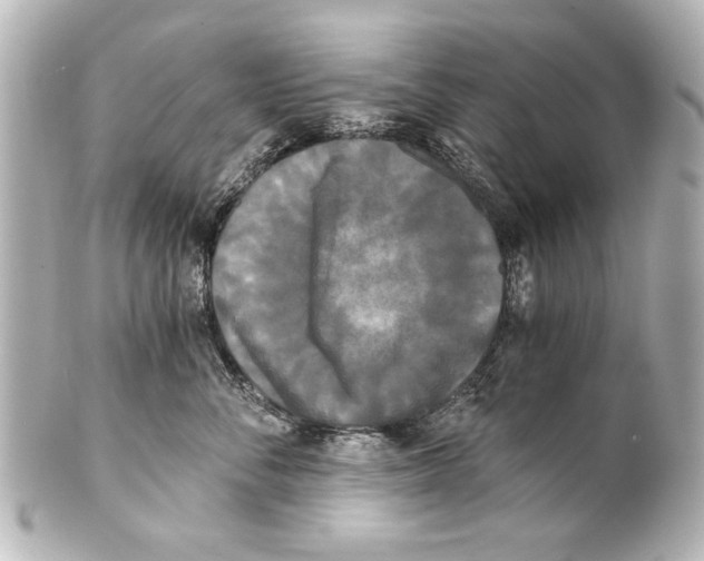 X0000101460716200808041042