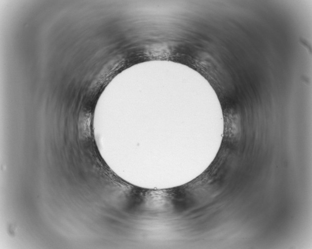 X0000101460717200808041042