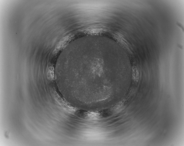 X0000101460718200808041042