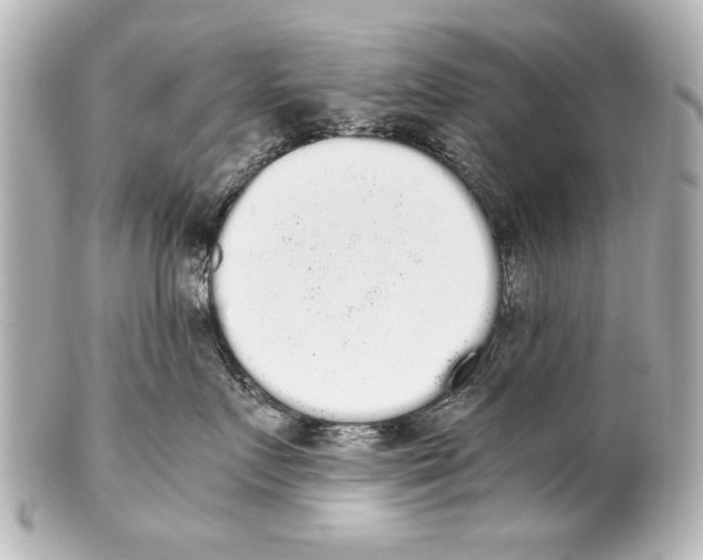 X0000101460719200808041042