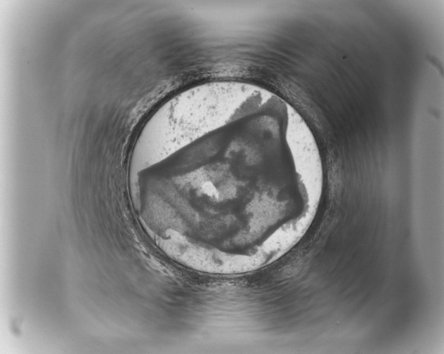 X0000101460721200808041041