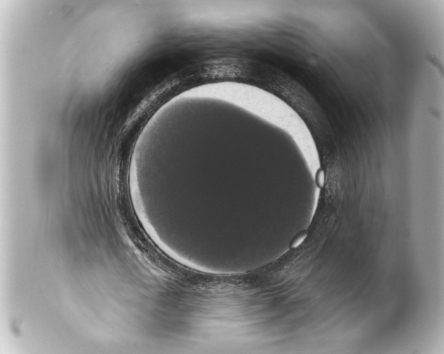 X0000101460722200808041041