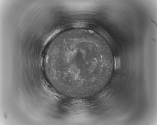 X0000101460723200808041041