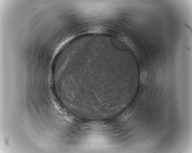 X0000101460724200808041041
