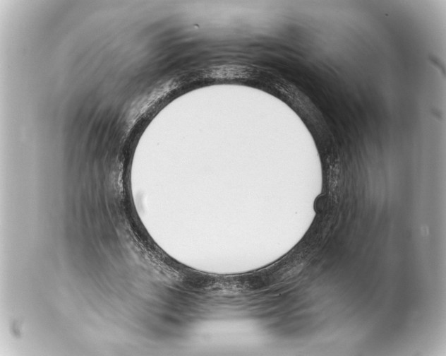 X0000101460727200808041041