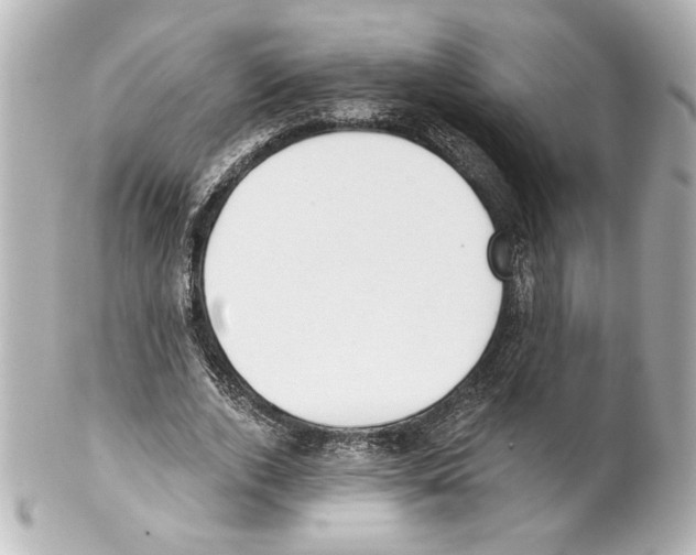 X0000101460728200808041041