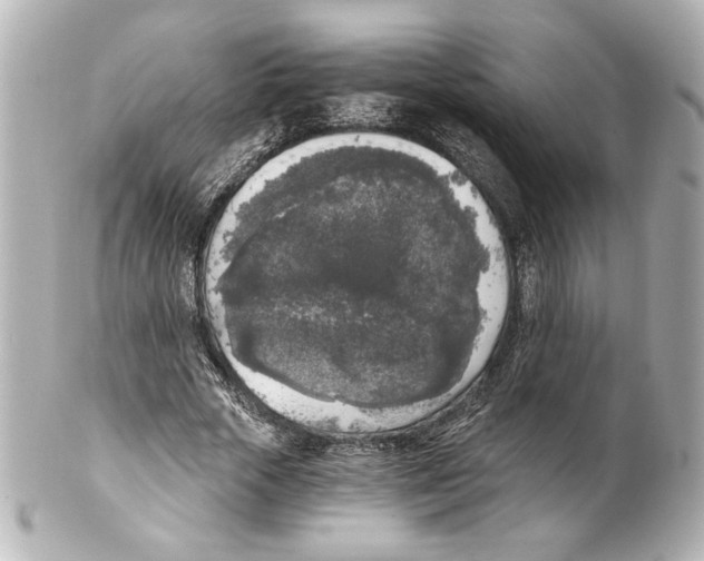 X0000101460729200808041041