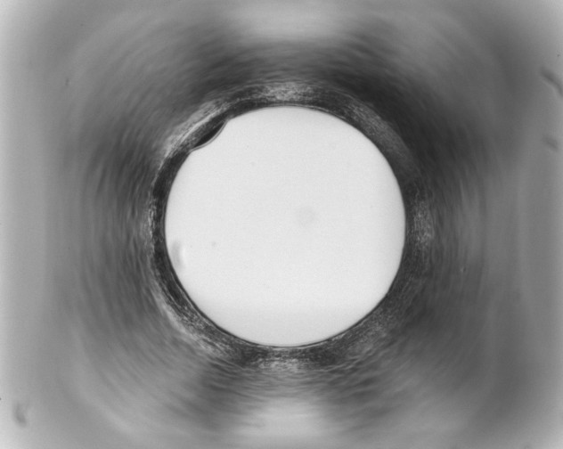X0000101460730200808041041