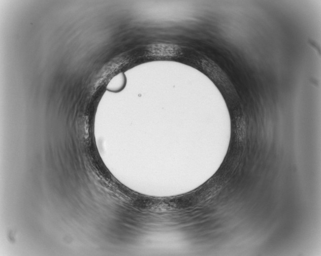 X0000101460731200808041041