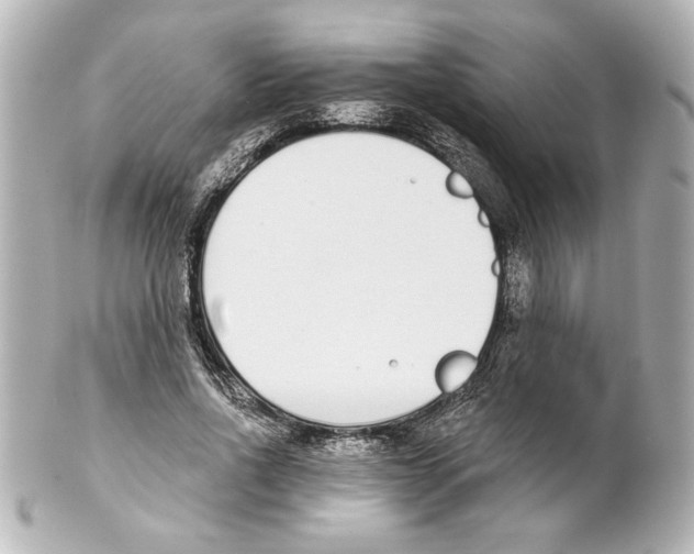 X0000101460734200808041041