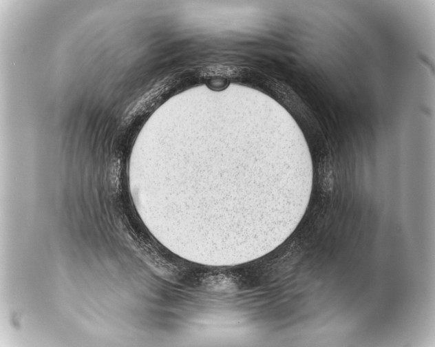 X0000101460735200808041041