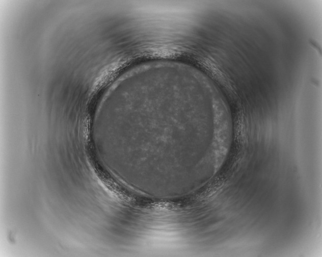 X0000101460736200808041041
