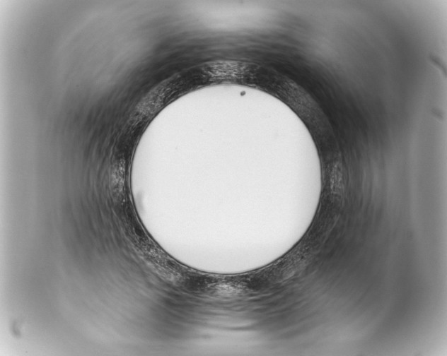 X0000101460737200808041041
