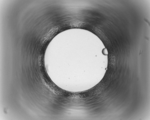X0000101460738200808041041
