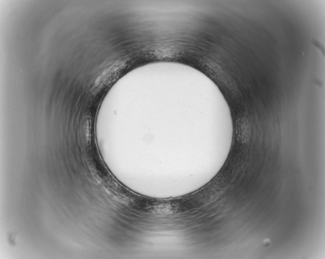 X0000101460740200808041041