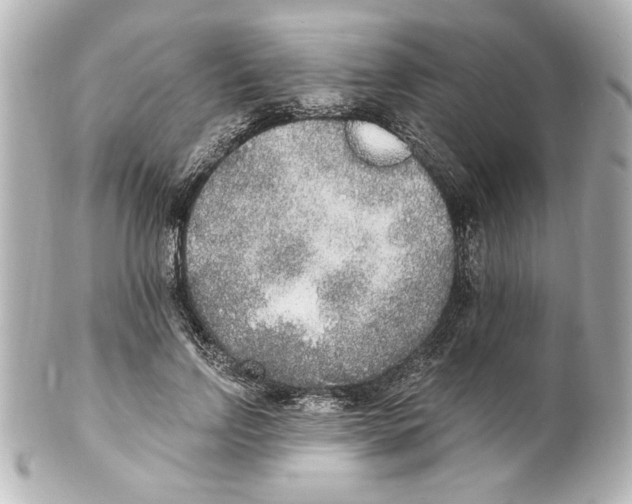 X0000101460742200808041041
