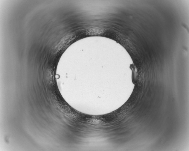 X0000101460743200808041041