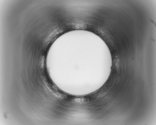 X0000101460744200808041041